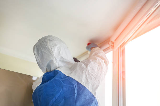 Best Residential Mold Inspection & Testing  in Conneaut, OH