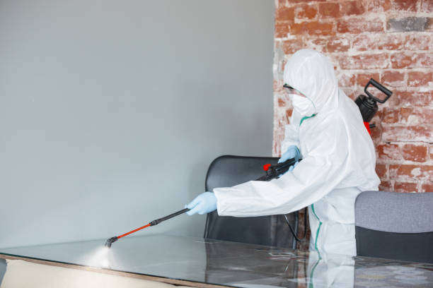 Trusted Conneaut, OH Mold Inspection Experts